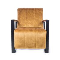 Clubsessel Loungesessel Polstersessel Armsessel Samt Velour Design Comfy